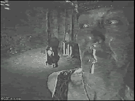 Scary/What the fuck comp.. .. mfw the first one