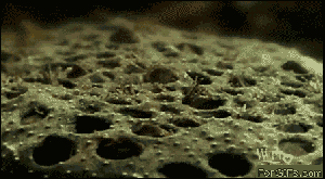 Scary/What the fuck comp.. .. mfw the first one