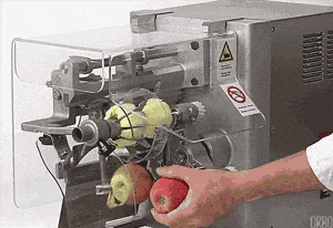 Science Gifs. “How to Build a Human” infographic by Eleanor Lutz. Mythbusters fire a cannon at 50 mph off of the back of a truck. Layers of the brain. Amount of