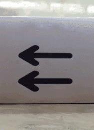 Science Gifs. “How to Build a Human” infographic by Eleanor Lutz. Mythbusters fire a cannon at 50 mph off of the back of a truck. Layers of the brain. Amount of