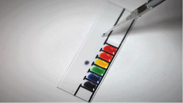 self sorting food coloring. SCIENCE ALL UP IN THIS BITCH.. So anyone care to explain how this works? Because my current best guess is me assuming that it has to do with each dye having a different viscosity or density o