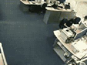 so many gifs. .. The pranks at the bottom are the best