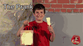 so many gifs. .. The pranks at the bottom are the best