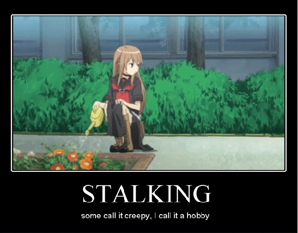 Stalking_d06e37_1913645.gif