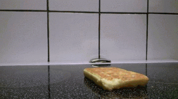 Waffle Getting up. Waffle Getting up.. Your move Kingxddd and Funkyspot OPs: /funny_gifs/4782517/Waffle+falling+over/ /funny_pictures/4783582/Waffle+NOT+falling+over/.