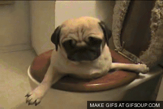 Was worth a shot. . He didn' t know what to make of the lasagna tray of pine chips at first. e moved the litter box by it and added some of his reduce" to the p