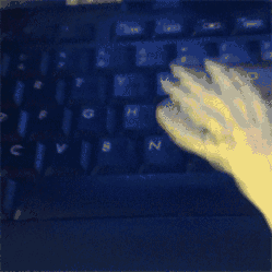 When the torrents are done.. Waited six hours for a torrent to finish only to find out chromebooks can't play .flv files.. Your first mistake was using a Chromebook.