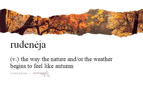 Words For Things. .. >mfw tags