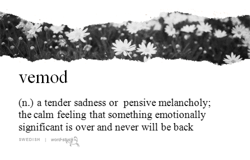 Words For Things. .. >mfw tags