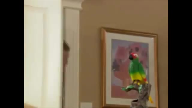 I 			*******		 lost it on the chatty patty