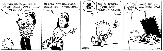 Calvin & Hobbes first 9 strips. I know posted the final comic twice, but it feels right. All credit goes to Bill Watterson, a man truly ahead of his time. THEE.