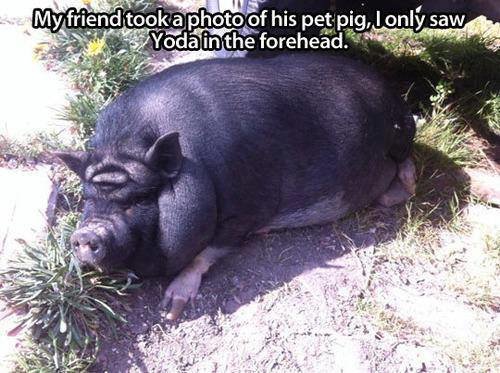 Can't Unsee comp. .. link did 9/11