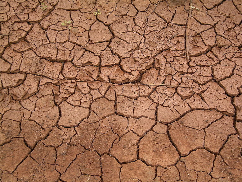 Comp Comp. Pineapple comp /Pineapple+comp/funny-pictures/5552765/ Shrimp comp /Shrimp+comp/funny-pictures/5552773/ Hanger comp /Hanger+comp/funny-pictures/55527