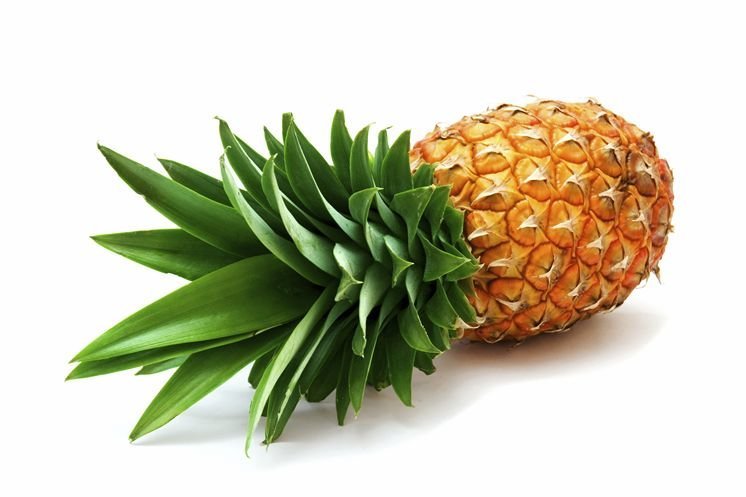 Comp Comp. Pineapple comp /Pineapple+comp/funny-pictures/5552765/ Shrimp comp /Shrimp+comp/funny-pictures/5552773/ Hanger comp /Hanger+comp/funny-pictures/55527