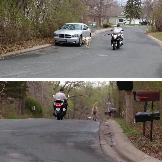 Comp of Lazy Pieces of Shit Part 1. Part 2: /Comp+of+lazy+pieces+of+shit+part+2/funny-pictures/5477464/ Part 3: /Comp+of+lazy+pieces+of+shit+part+3+end/funny-pi