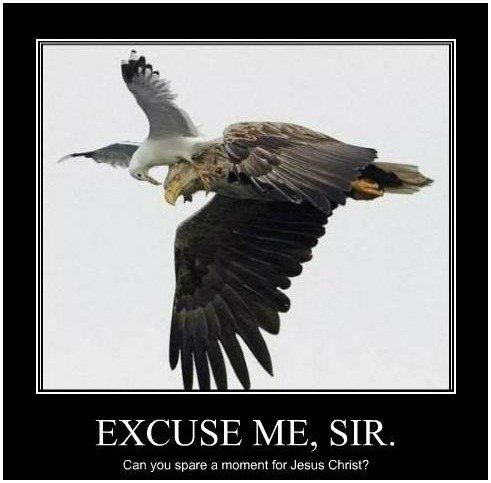 Controversy. . HIM THEIT ’ IHIS Will BUS Milt l} PEOE' WITH A WHIP IS WITHIN THE HAILIM tlf I’. Yeah Jesus is back, everybody just calls him Dave Grohl.