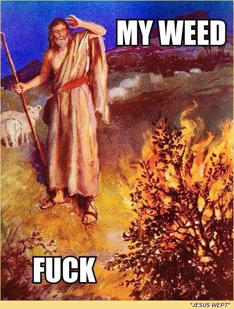 Controversy. . HIM THEIT ’ IHIS Will BUS Milt l} PEOE' WITH A WHIP IS WITHIN THE HAILIM tlf I’. Yeah Jesus is back, everybody just calls him Dave Grohl.