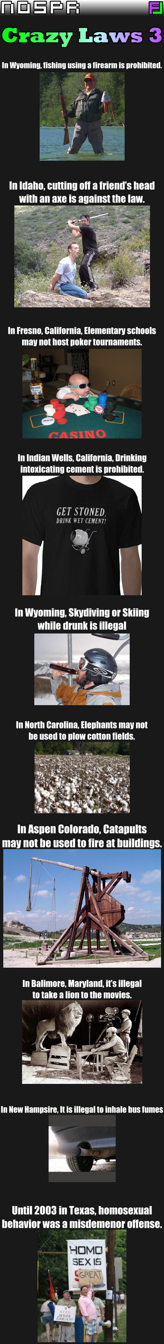 Crazy Laws 3 Crazy Laws 3. PT 4: /funny_pictures/2241825/Crazy+Laws+4/ Some OC over here: /funny_pictures/2241590/Infinite+Late+Homework/. Laws In Wyoming, fishing using It