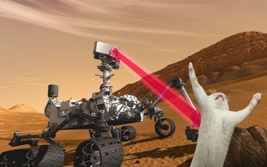 Curiosity+killed+the+cat+source+smosh+facebook+page_06d5f5_3980829.jpg