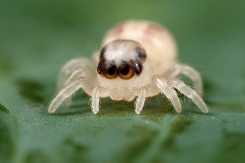 Cute_01d678_1383248.jpg