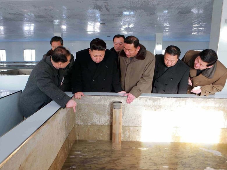 Glorious Admin Comp. Admin making fun of OP with all of his buff handsome friends. Admin delivers a New Year address in Pyongyang on Jan. 1 in this photo releas