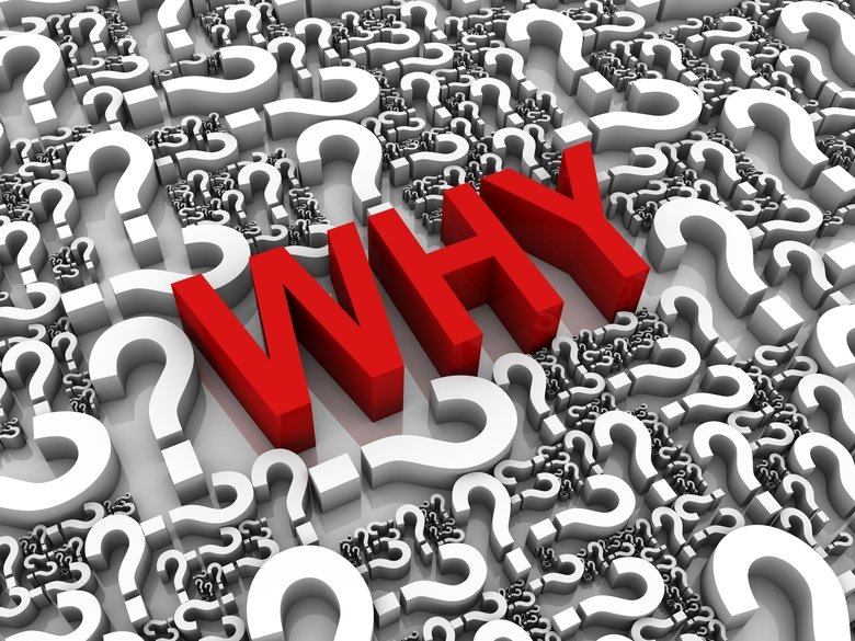 good fucking grief. this isn't an april fools joke. Five Nights at Freddy' s is being turned into a movie Share " II E. Just because a fanbase is doesn't mean a product is . They did make a MLP movie after all.