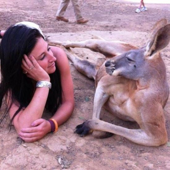 Kangaroo+sweet+talks+woman_49dea2_4777050.jpg