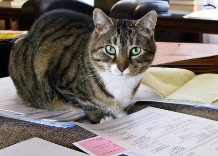 Knowledge is Power. this will get more favorites than thumbs. spatial naturalist visualizing understanding the world living in things and reading Pt nature musi