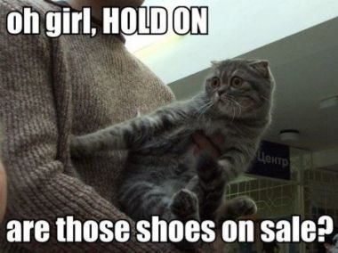 OMG SHOES OMG SHOES. Why Russia is awesome: tinyurl.com/35p57dc<br /> LOL: /funny_pictures/951510/Bulbasaur/<br /> If you dont subscribe i will sneak into you