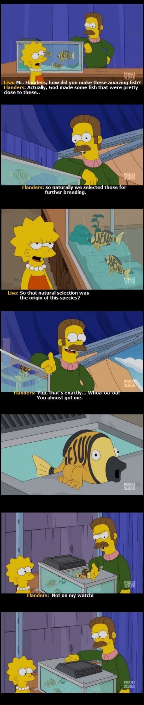 Season 21 episode 23 'judge me tender' Season 21 episode 23 'judge me tender'. PLOT At an ugly dog contest, Krusty is realized to be a horrible judge and Moe makes cracks about his judging. Krusty de