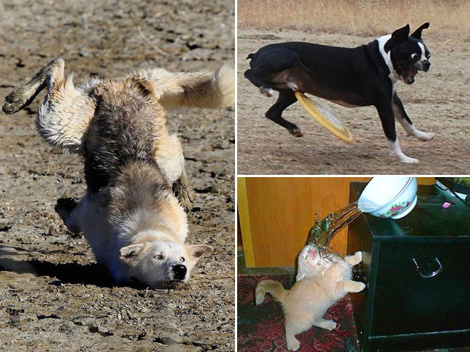 seconds before disaster.. .. half of these are "second of disaster"