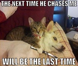 sick pic dump 5. Suck it, i'll do more when i feel like it!. searcher You finger yourself??? Disgusting. Those fingers should be turning pages of the holy bible