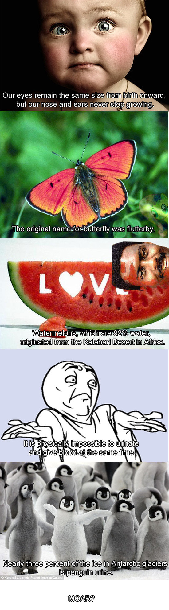 Some pretty awesome facts 3 Some pretty awesome facts 3. For those who liked my previous ones: 1. /funny_pictures/4123933/Some+pretty+awesome+facts/ 2. /funny_pictures/4125208/Some+pretty+