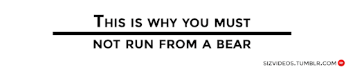 Sonic the Bear!. Sweet baby jesus didn't know those things could run that fast... survival tip #28 if a bear approaches you don't run, resistance is futile. use what little time you have left to make peace with your gods