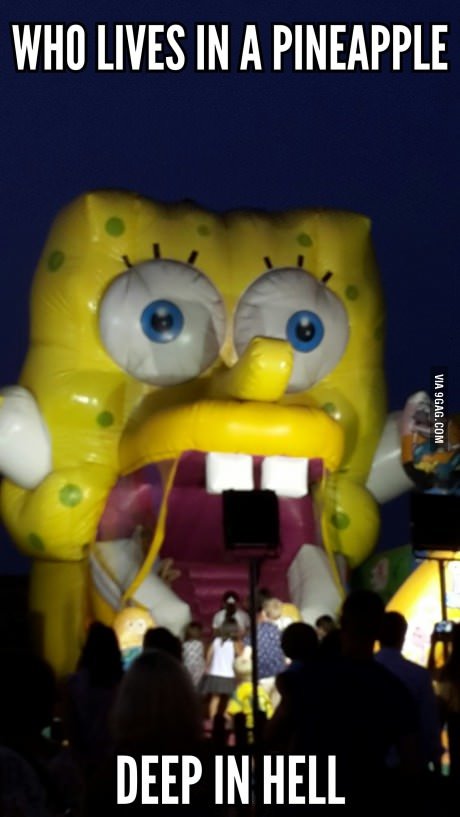 Spongebob Scarepants Spongebob Scarepants. Sponges are animals of the phylum Porifera. They are multicellular organisms that have bodies full of pores and channels allowing water to