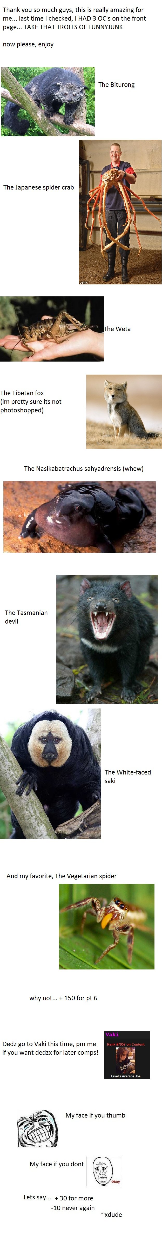 Strange animal comp pt 5 Strange animal comp pt 5. please check out for random funny pics<br /> cool keyboard comp : /funny_pictures/1626941/Cool+keyboard+comp/<br /> cool k