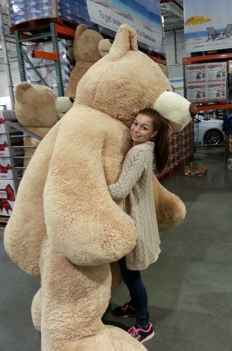 costco giant bears