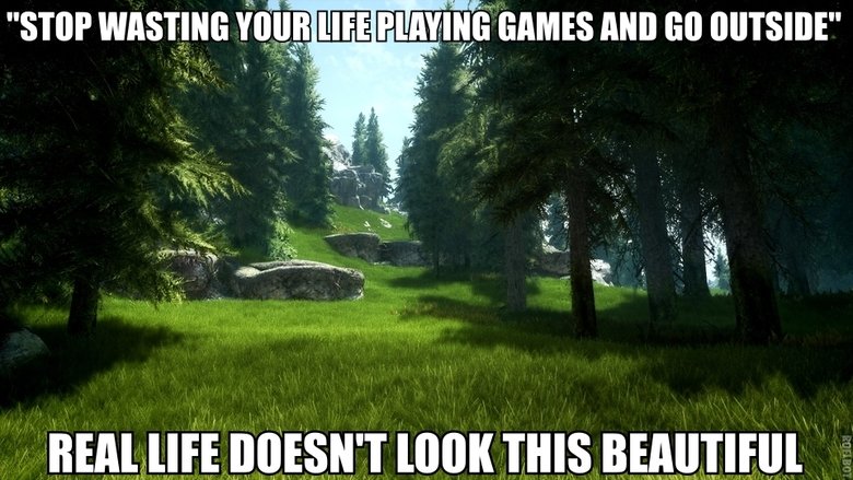 Why video games are better. Why video games are better.. Partial OC. Screenshot from Kotaku; kotaku.com/5961994/what-skyrim-looks-like-when-youre-running-100-mods-at-once.. But... I live in Norway