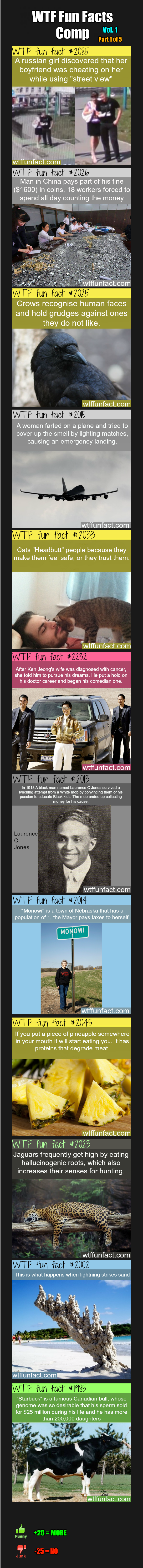 WTF Fun Facts Comp Vol. 1 Part 1 WTF Fun Facts Comp Vol. 1 Part 1. There will be five comps within each volume of WTF Fun Facts that I make. The number of thumbs for each comp of a volume will