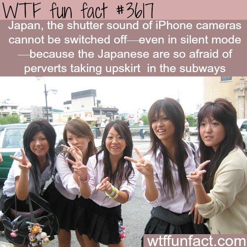 WTF Facts Comp. Sauce is wtffunfact.com/ Check them out. New facts are added frequently.. Napoleon Bonaparte was buried with all parts of his body except one - 