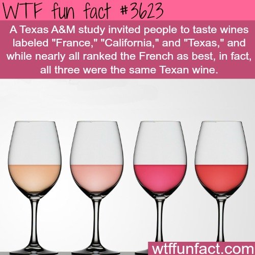 WTF Facts Comp. Sauce is wtffunfact.com/ Check them out. New facts are added frequently.. Napoleon Bonaparte was buried with all parts of his body except one - 