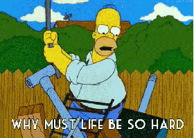 3930417+_1272d699cd9848f1465c42e0aa9dcd12.gif