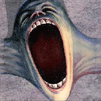 She+_0d121404062deaa1fabdcb2316f220da.gif