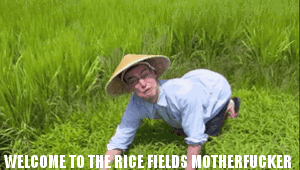 Show+media+testing+gif+scale+_b80bed60f02f868bad1904925610b309.gif