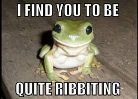 Why yes sir, yes i do.