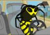 Wasp is driving