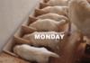 Mondays