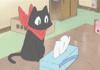 Anime Cat gifs :3