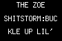 THE ZOE SHITSTORM:BUCKLE UP LIL' NIGGAS