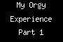 My Orgy Experience Part 1